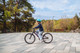 Миниатюра изображения товара Детский велосипед Alpinebike Pegas 3-20 / TSRD00174601 (фиолетовый космос)
