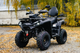 Миниатюра изображения товара Квадроцикл AVM Adventure 250 (черный)