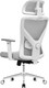 Миниатюра изображения товара Кресло офисное Evolution ErgoLine 2 (серый)