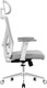 Миниатюра изображения товара Кресло офисное Evolution ErgoLine 2 (серый)
