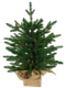 Миниатюра изображения товара Ель искусственная National Tree Company Венера премиум 45см / ВНР/ПР-45