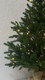 Миниатюра изображения товара Ель искусственная National Tree Company Венера премиум 75см / ВНР/ПР-75
