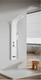 Миниатюра изображения товара Душевая панель Cerutti Spa Twin W (белый)
