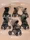 Миниатюра изображения товара Детская универсальная коляска Sweet Baby 2в1 SBL Orso (темно-серый)