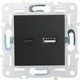 Миниатюра изображения товара Розетка IEK Skandy SK-U22-D31-K02 (черный)