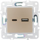 Миниатюра изображения товара Розетка IEK Skandy SK-U22-D31-K37 (шампань)