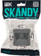 Миниатюра изображения товара Розетка IEK Skandy SK-K20-2-K03 (серый)