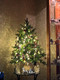 Миниатюра изображения товара Ель искусственная Царь елка Астерия премиум 90см 3D АСТР/ПР-90