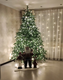 Миниатюра изображения товара Ель искусственная Царь елка Раскидистая премиум РДП-240