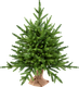 Миниатюра изображения товара Ель искусственная Царь елка Инфинити / ИнФ-60