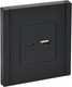 Миниатюра изображения товара Розетка IEK Forte&Piano FP-U22-018-K02 (черный)