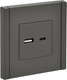 Миниатюра изображения товара Розетка IEK Forte&Piano FP-U22-018-K03 (серый)