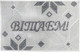 Миниатюра изображения товара Коврик грязезащитный Витебские ковры 19 24С56-ВИ sz4334 c4 (0.5x0.8)
