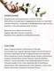 Маска для волос Innature La Niche Amber Osmanthus Парфюмированная (250мл, в коробке) — фото 6