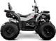 Миниатюра изображения товара Квадроцикл Progasi RaceJumper 200 SE (Nardo grey)