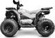 Миниатюра изображения товара Квадроцикл Progasi RaceJumper 200 SE (Nardo grey)