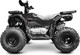 Миниатюра изображения товара Квадроцикл Progasi RaceJumper 200 SE (Black satin)