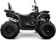 Миниатюра изображения товара Квадроцикл Progasi RaceJumper 200 SE (Black satin)