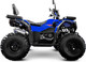 Миниатюра изображения товара Квадроцикл Progasi RaceJumper 200 SE (Blue ocean)
