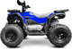 Миниатюра изображения товара Квадроцикл Progasi RaceJumper 200 SE (Blue ocean)