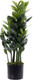 Миниатюра изображения товара Искусственное растение Sundays Home Денежное дерево / BC10104 (75см)