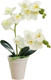 Миниатюра изображения товара Искусственный цветок Sundays Home Фаленопсис бонсай / BC10108 (40см)
