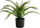 Миниатюра изображения товара Искусственное растение Sundays Home Папоротник / BC10113 (40см)