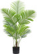 Миниатюра изображения товара Искусственное растение Sundays Home Арека пальма / BC10114 (120см)