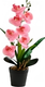 Миниатюра изображения товара Искусственный цветок Sundays Home Фаленопсис бонсай / BC10130 (43см)
