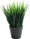 Миниатюра изображения товара Искусственное растение Sundays Home Трава / BC10131 (18см)