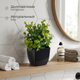 Миниатюра изображения товара Искусственное растение Sundays Home Гипсофила / BC10132 (17см)
