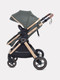 Миниатюра изображения товара Детская универсальная коляска Rant Basic Roller Gold 2в1 / RA161 (Olive)