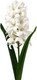 Миниатюра изображения товара Искусственный цветок Sundays Home Гиацинт / BC10162 белый (47см)
