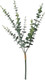 Миниатюра изображения товара Искусственные растения Sundays Home Эвкалипт / BC10168 (33см)