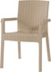 Миниатюра изображения товара Стул садовый Heniver Vector SPC-V001 (бежевый)