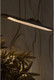 Миниатюра изображения товара Потолочный светильник Arte Lamp A4286SP-19BK