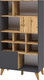 Миниатюра изображения товара Стеллаж ELVA Нодо NEM01HS-2D-810/400/1640 (02) (дуб вотан/графит)