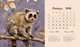 Миниатюра изображения товара Календарь настольный Listoff Лисичка. 2026 год / КДС62604