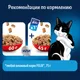 Миниатюра изображения товара Сухой корм для кошек Felix Двойная вкуснятина с говядиной (600г)