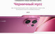 Миниатюра изображения товара Смартфон Vivo V60 12GB/512GB (черничный мусс)