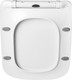 Миниатюра изображения товара Сиденье для унитаза Saniteco WD0039