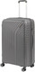 Миниатюра изображения товара Чемодан на колесах Francesco Molinary 338-1160/3-28GRY (серый)