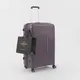 Миниатюра изображения товара Чемодан на колесах Francesco Molinary 338-1160/3-28VLT (фиолетовый)