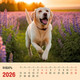 Миниатюра изображения товара Календарь настенный Listoff Прикольные собаки. 2026 год / КПКС2610