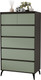 Миниатюра изображения товара Комод Рэйгрупп Aleksa РГ-05-КZС ARG-5-KZС (кобальт/зеленый самшит/черный)