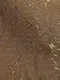 Миниатюра изображения товара Рулонная штора Jalux Шелк Алю 13 145x160 (коричневый)