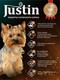 Миниатюра изображения товара Влажный корм для собак Justin Говядина в соусе (28x75г)