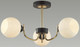 Миниатюра изображения товара Люстра Lumion Bliss 5642/3C