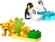 Миниатюра изображения товара Конструктор Lego Duplo Семейства диких животных: Пингвины и Львы / 10442