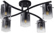 Миниатюра изображения товара Люстра Aitin-Pro НПБ 02-5x40-101 / 07369/5 (черный/хром)